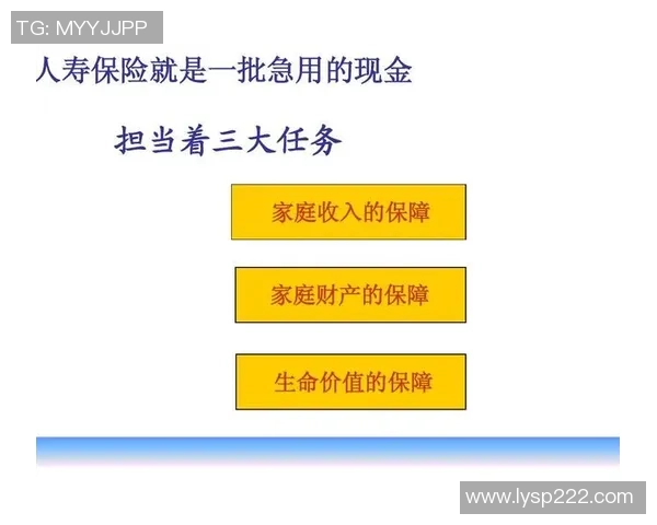 张帆的奋斗历程与成长故事探寻人生的意义与价值