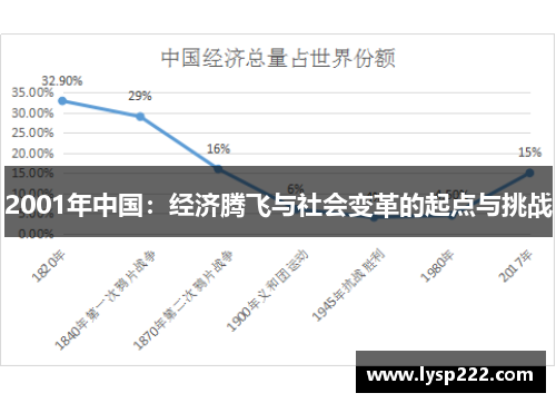 2001年中国：经济腾飞与社会变革的起点与挑战